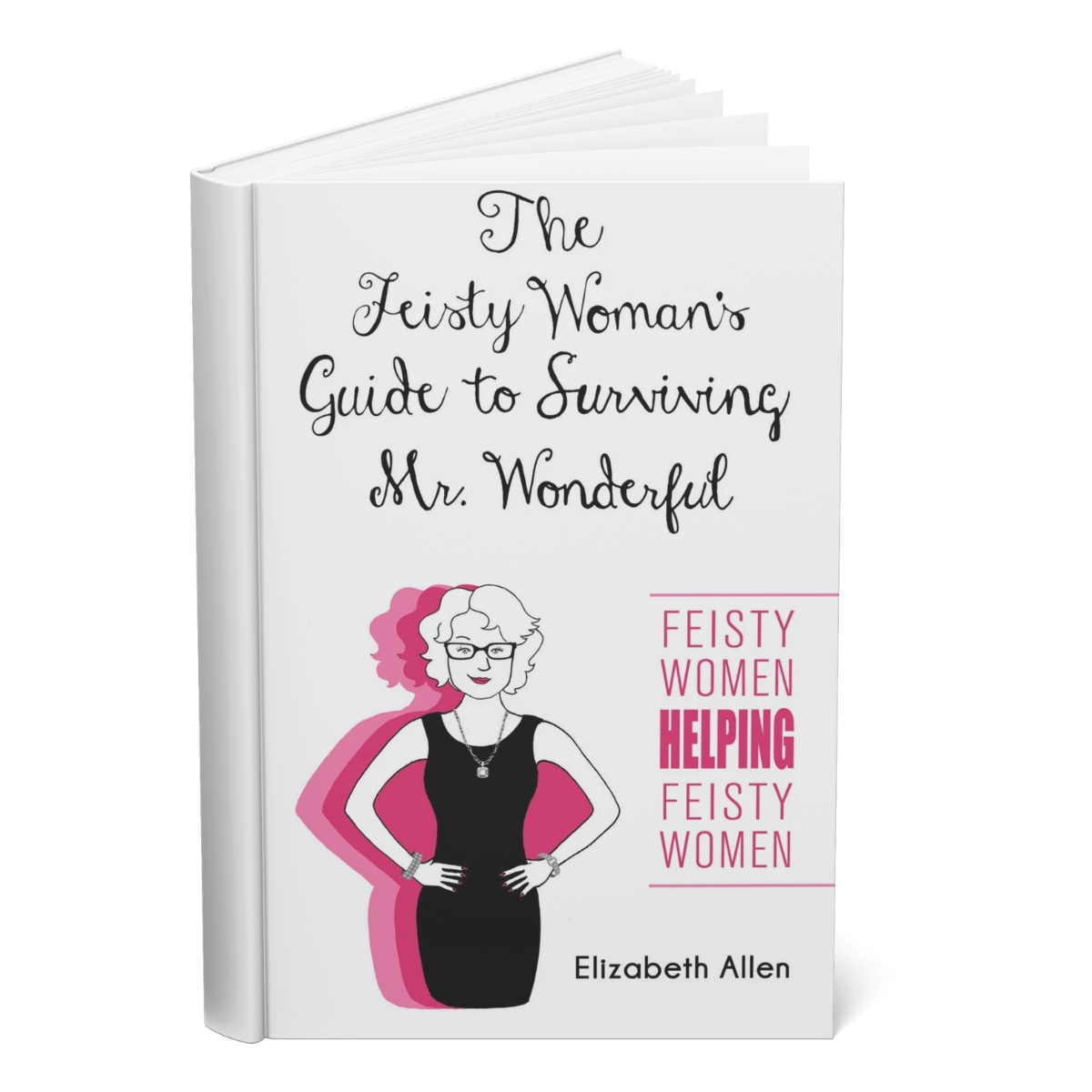 The Feisty Woman's Guide To Surviving Mr. Wonderful: Feisty Women Helping Feisty Women