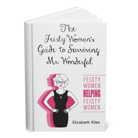 The Feisty Woman's Guide To Surviving Mr. Wonderful: Feisty Women Helping Feisty Women